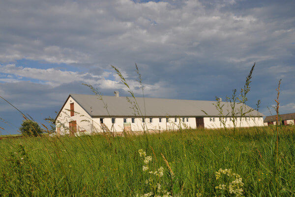 Stajnia