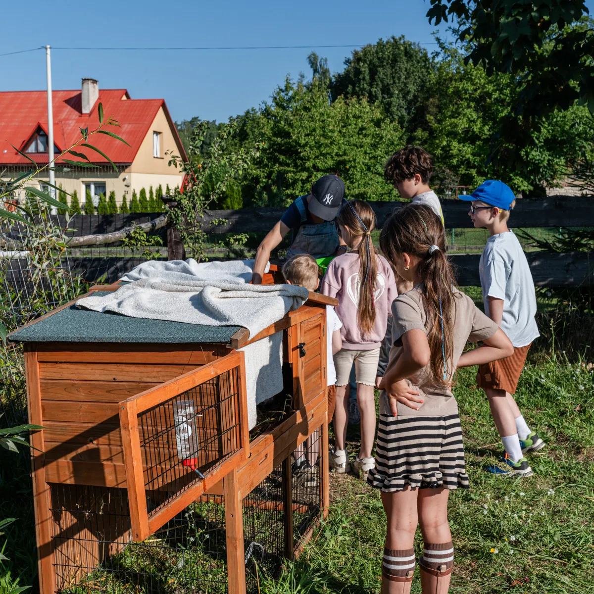Dzieci zgromadzone wokół klatki z małymi zwierzakami