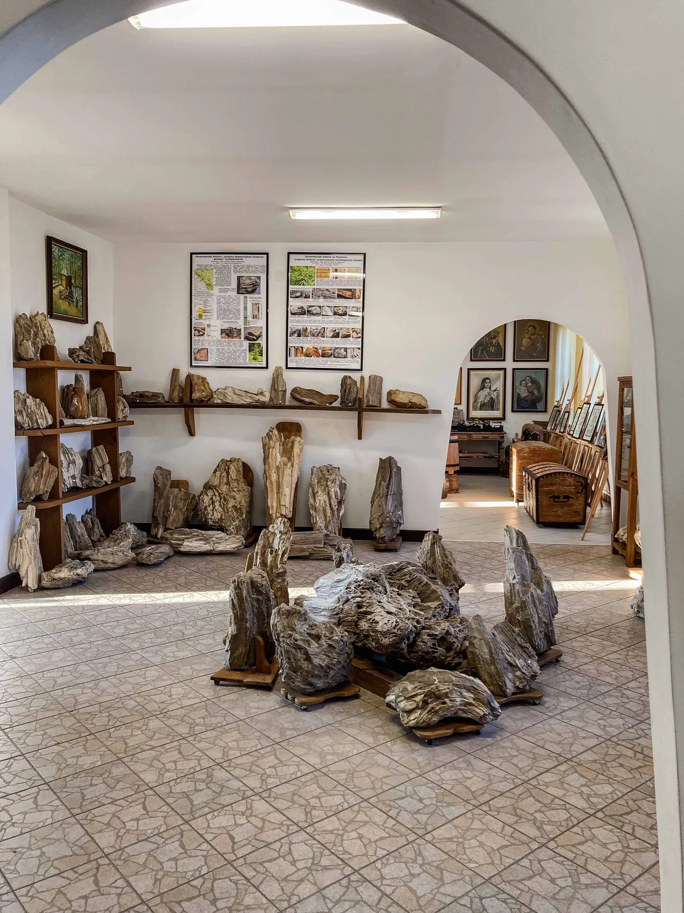 Muzeum Skamieniałych Drzew w Siedliskach